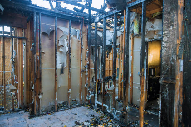 Professional Fire Damage Removal technician working in Van, TX